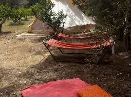 In Our Garden Sardinia - Orange Trees Glamping Tent