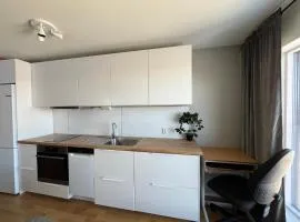 Studio apartment near Narvikfjell Gondola