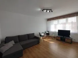 Apartament E&M Krzyżacki