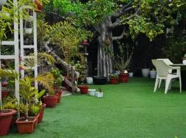S & B Dreams House