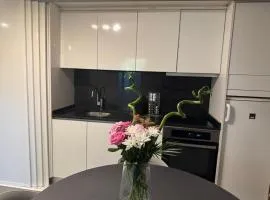 Cannes, Mougins, Sophia-Antipolis, Grasse, Nice, Monaco, Saint-Tropez