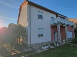 Cvitak home