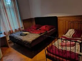 Zentrales Zimmer im 1OGC 2 Gehminuten zum Bahnhof Solothurn