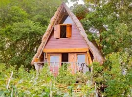 Wisdom Camping and Glamping