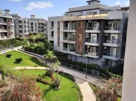 زايد ديونز الشيخ زايد