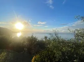 Ariadimare guest house