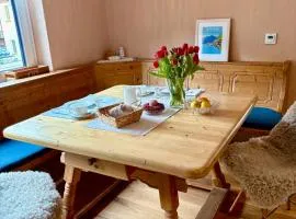 Cosy apartment Bad Ischl in quiet residential area - newly renovated