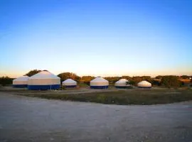 Johnny Yurts - The Pearl