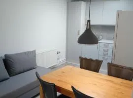 centrally located apartment