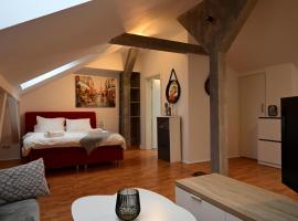 Loftstyle Wohnung in Wiesbaden, Hotel in Wiesbaden