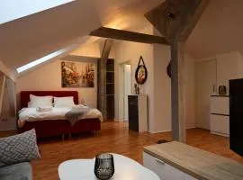 Loftstyle Wohnung in Wiesbaden