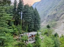 The Woods - Tirthan Valley