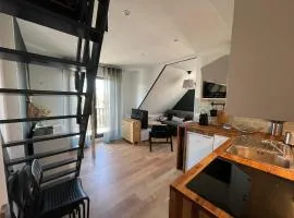 Magnifique appartement avec mezzanine prés Thalasso