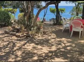 Villa pied dans l eau