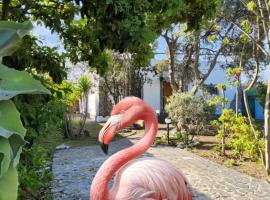 l'Oasi del Fenicottero rosa, Hotel in Poetto