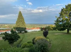 Apartment Bodenseepanorama mit wunderschönem Alpenpanorama und Indoor-Pool