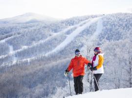 Windham Ridge Chalet, отель с гидромассажными ваннами в городе Виндхам