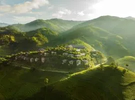 Garrya Mù Cang Chải