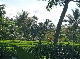 pranamastra bali