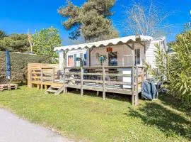 Family's Dream P16 La Marina