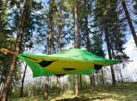 Tree tents Camping "Fight Hill"