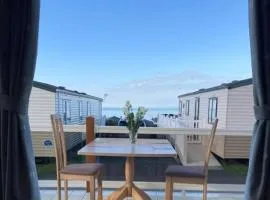 New Quay - Powys 16