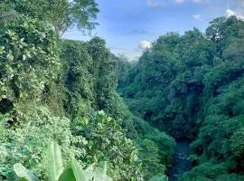 Ubud Jungle River