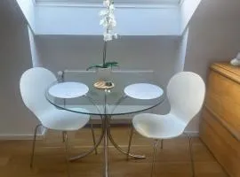 City Mini Apartment