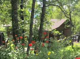 Beautiful Creekside Cottage Rental in the San Juan Forest, Colorado, hotel in Hermosa