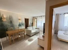 Superb 6-person T3 apartment close to the slopes