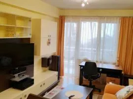 Cozy apartment in the center