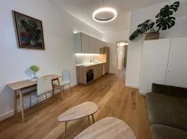 Art Nouveau apartment with garden in Pisek
