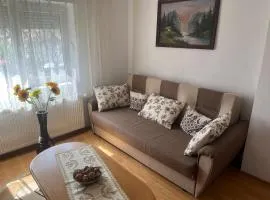 Apartment under Rupea Fortress