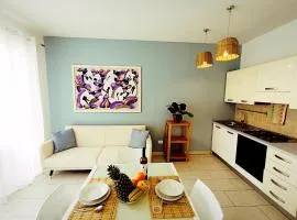 Boadream Casa Duria Porta Viola