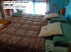 Room country-lake