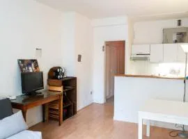 Charming studio with view near Montmartre