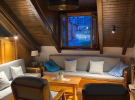 Apartamento Patu&eacute;s - Benasque, hotel que aceita pets em Benasque