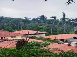 Rushika Homestay Chikmagalur