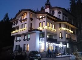 Apartment Sunny, pet-friendly hotel in Pamporovo