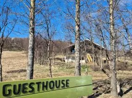 Skaftholt Guesthouse