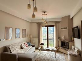 Avra Metsovou, hotel a Metsovo