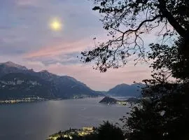 Landscapesilvia Acqua