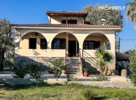 The Peaceful Villa