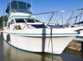 Sleep Aboard 36ft Yacht in Anacortes Marina
