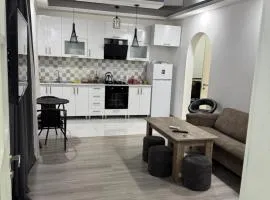 ana-Apartament