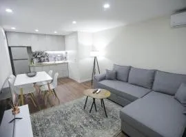 Arlis Apartments - near North and South Terminal