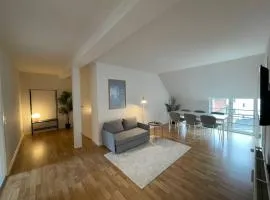 Horsens luxury apt