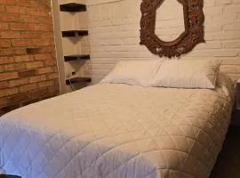 Central Campestre Apartment