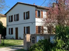 I gatti e la Volpe B&B