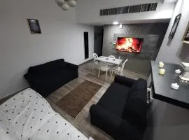 Beachfront 2BHK with Sea View